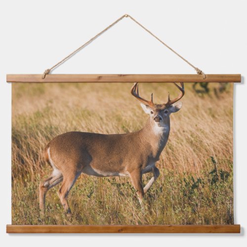 White_tailed Deer  Autumn in TX Hanging Tapestry