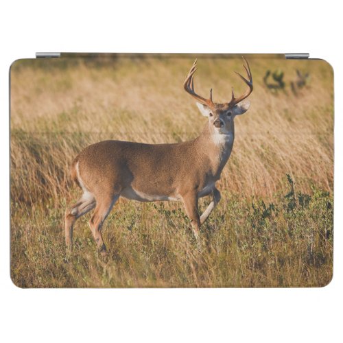 White_tailed Deer  Autumn in TX iPad Air Cover
