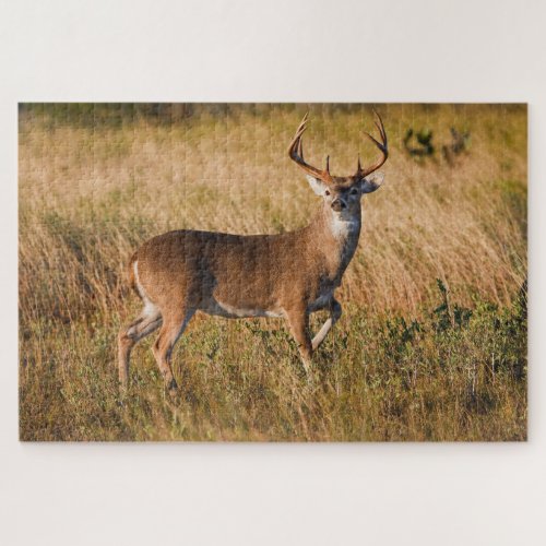 White_tailed Deer  Autumn in TX Jigsaw Puzzle