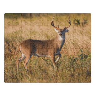 White-tailed Deer Autumn in TX Jigsaw Puzzle