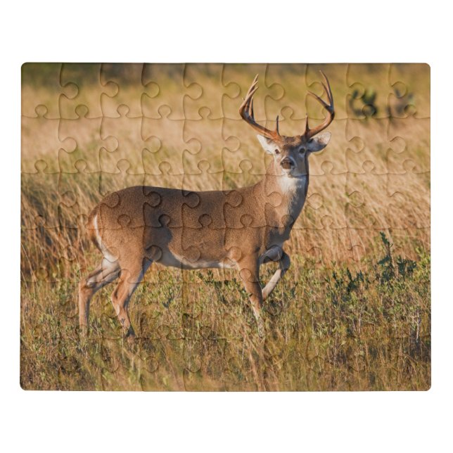 White-tailed Deer | Autumn in TX Jigsaw Puzzle (Puzzle Horizontal)