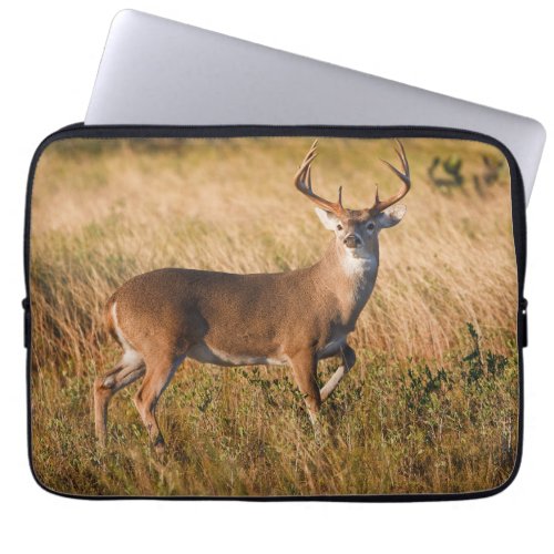White_tailed Deer  Autumn in TX Laptop Sleeve