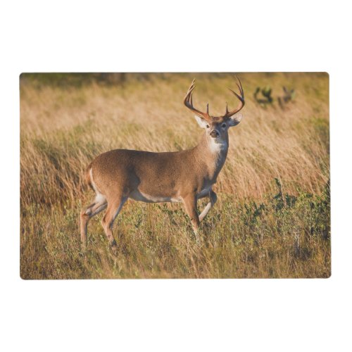 White_tailed Deer  Autumn in TX Placemat