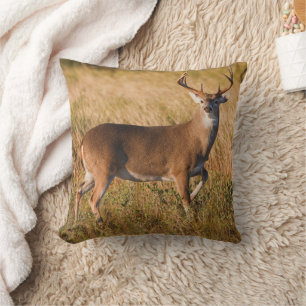 White-tailed Deer Autumn in TX Throw Pillow