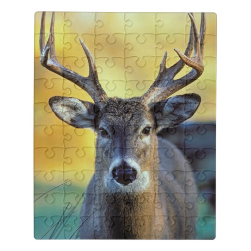 White_Tailed Deer  Autumn Jigsaw Puzzle