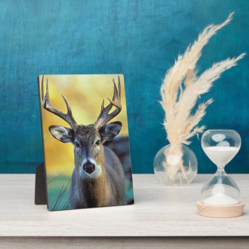 White_Tailed Deer  Autumn Plaque