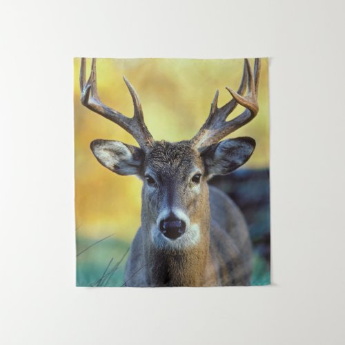 White_Tailed Deer  Autumn Tapestry