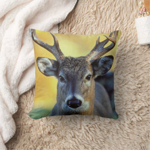 White-Tailed Deer Autumn Throw Pillow