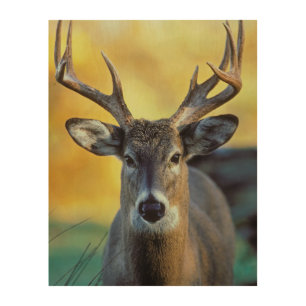 White-Tailed Deer Autumn Wood Wall Art