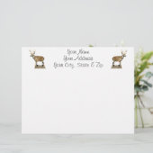 White Tailed Deer Buck (Standing Front)