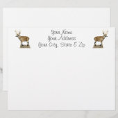 White Tailed Deer Buck (Front/Back)