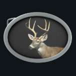 White Tailed Deer Buck Belt Buckle<br><div class="desc">A photograph of a lovely White Tailed Deer Buck adorns this belt buckle! Customize by changing the background color to suit yourself!</div>