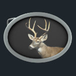White Tailed Deer Buck Belt Buckle<br><div class="desc">A photograph of a lovely White Tailed Deer Buck adorns this belt buckle! Customize by changing the background color to suit yourself!</div>