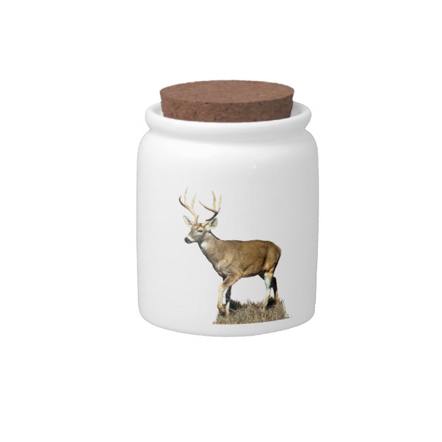 White Tailed Deer Buck Candy Jar (Front)