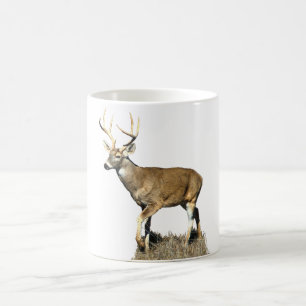 White Tailed Deer Buck Color Morph Mug