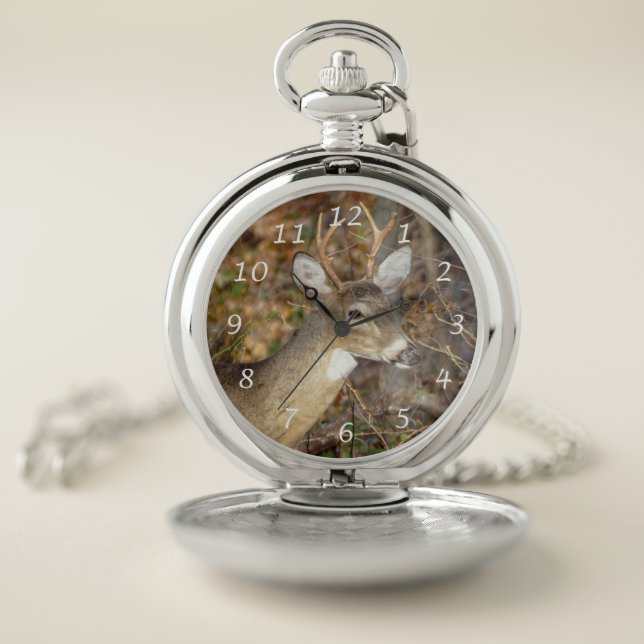 White-Tailed Deer Buck Pocket Watch (Inside)