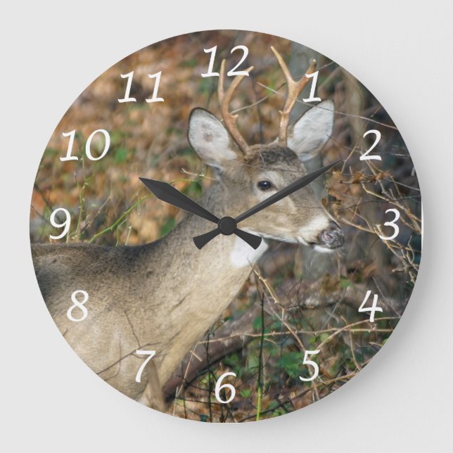 White-Tailed Deer Buck Wall Clock (Front)