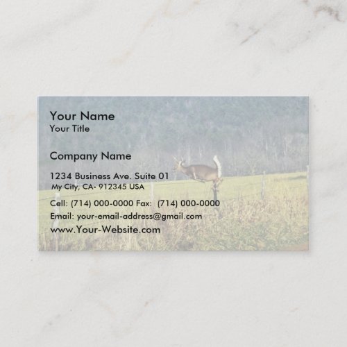 White-tailed Deer Business Cards