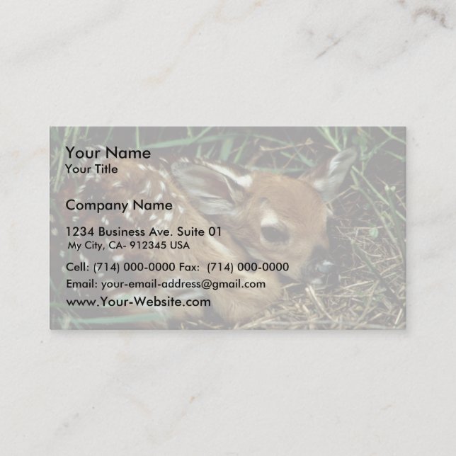 White-tailed Deer Business Card (Front)