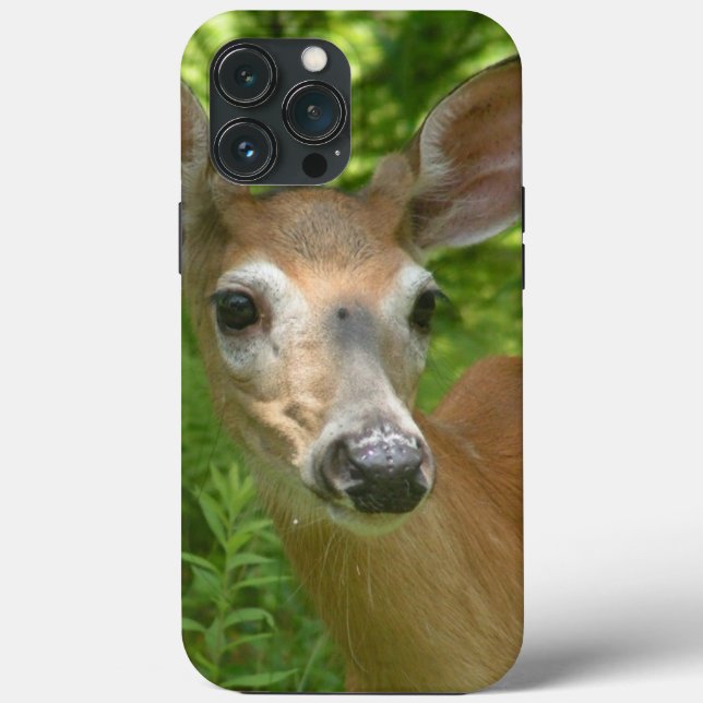 White Tailed Deer  Case-Mate iPhone Case (Back)