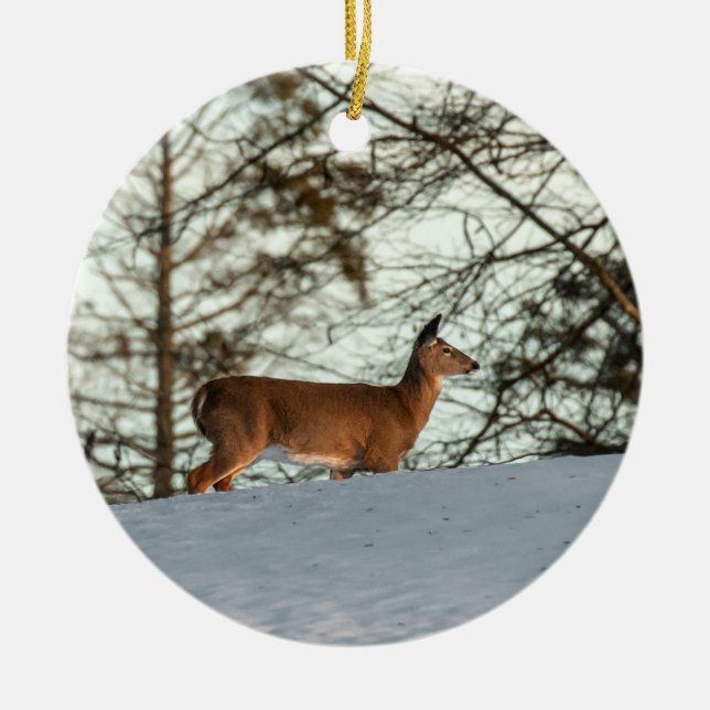 White Tailed Deer Ceramic Ornament (Front)