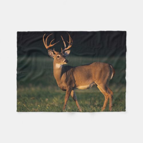White_tailed Deer  Choke Canyon State Park TX Fleece Blanket