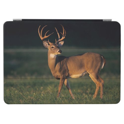 White_tailed Deer  Choke Canyon State Park TX iPad Air Cover