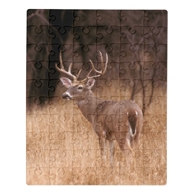 White Tailed Deer |  Choke Canyon State Park, TX Jigsaw Puzzle (Puzzle Vertical)