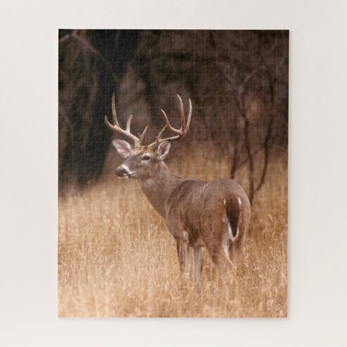 White Tailed Deer   Choke Canyon State Park TX Jigsaw Puzzle