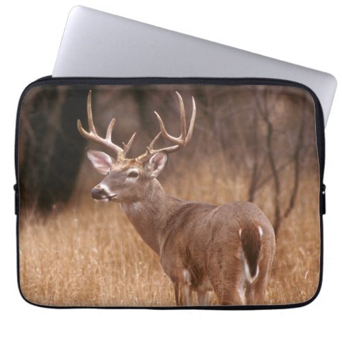 White Tailed Deer   Choke Canyon State Park TX Laptop Sleeve