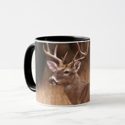 White Tailed Deer   Choke Canyon State Park TX Mug