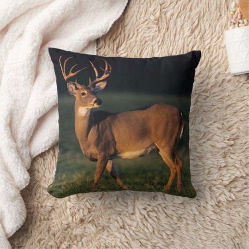 White_tailed Deer  Choke Canyon State Park TX Throw Pillow