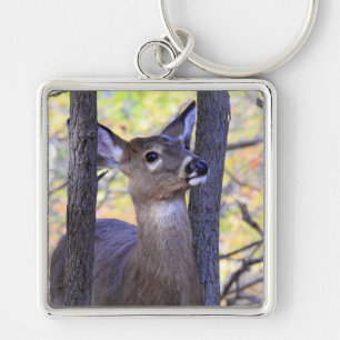 White Tailed Deer close up in the woods Keychain