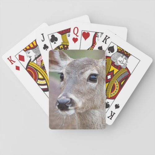 White_tailed Deer doe drinking water Poker Cards