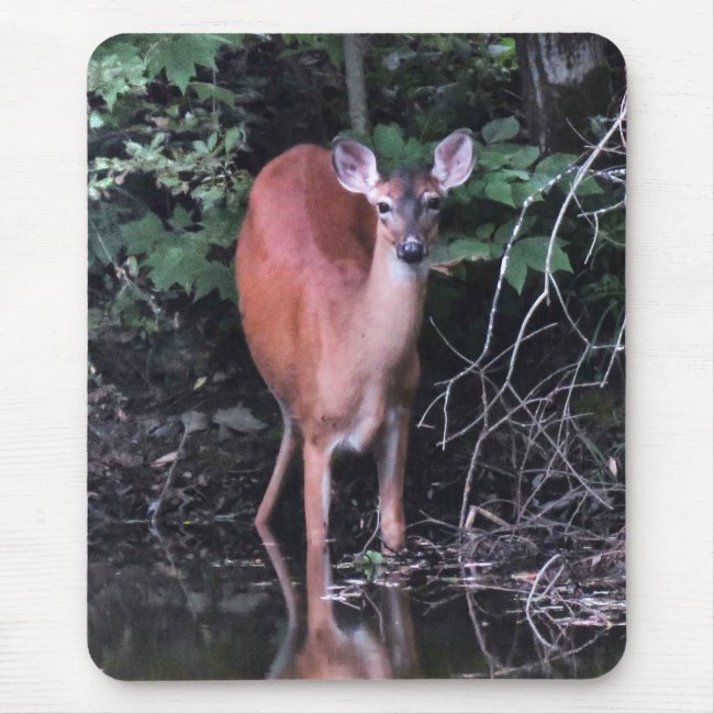 White Tailed Deer Drinking at Forest Pond Mousepad
