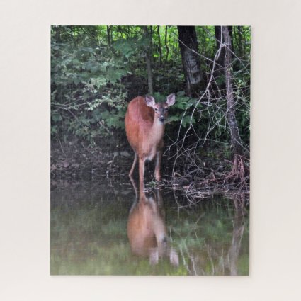 White Tailed Deer Drinking at Forest Pond Puzzle