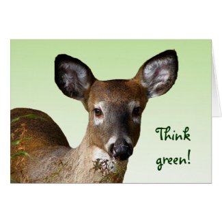 White Tailed Deer Earth Day Card
