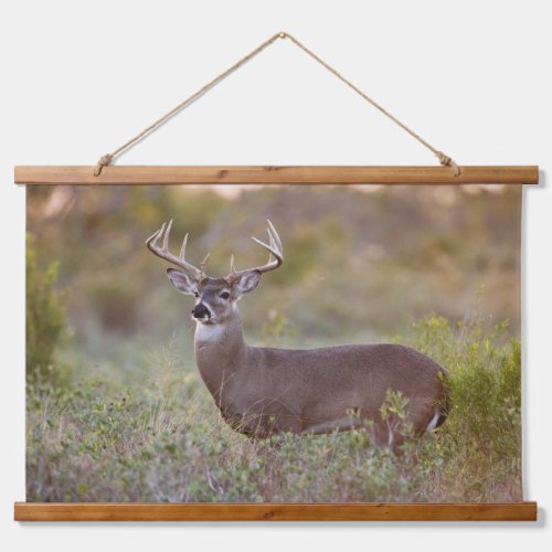 White_tailed Deer  Fall in Texas Hanging Tapestry