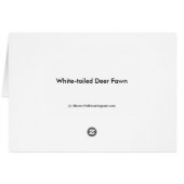 White-tailed Deer Fawn Cards (Back Horizontal)