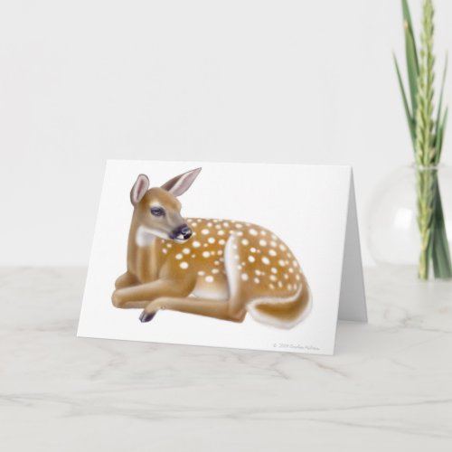 White Tailed Deer Fawn Greeting Card