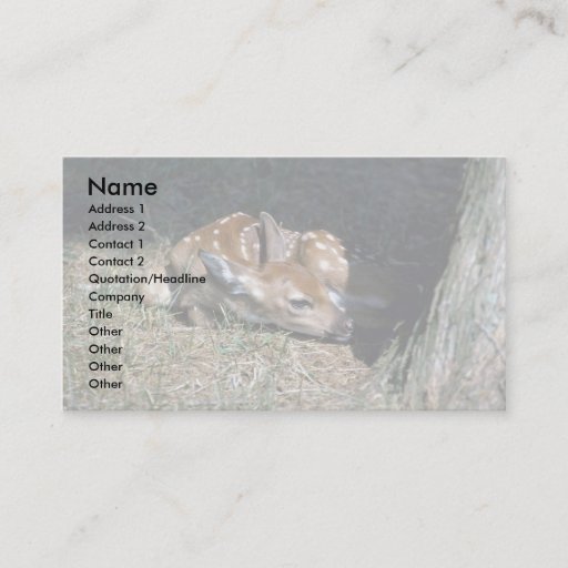 Customizable White-tailed Deer-fawn lying by tree Business Card Templates
