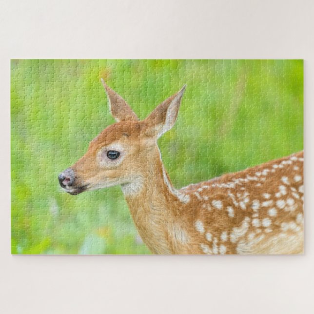 White-Tailed Deer Fawn | Minnesota Jigsaw Puzzle (Horizontal)
