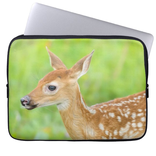 White-Tailed Deer Fawn | Minnesota Laptop Sleeve (Front)