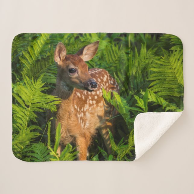 White-tailed Deer Fawn | Minnesota Sherpa Blanket (Front (Horizontal))