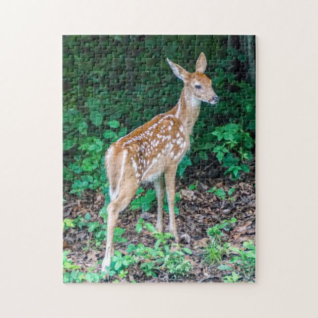 White-Tailed Deer Fawn Puzzle (Vertical)