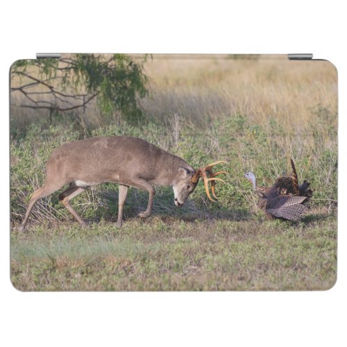 White_tailed Deer Fighting Wild Turkey iPad Air Cover