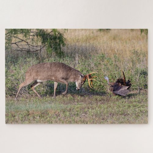 White_tailed Deer Fighting Wild Turkey Jigsaw Puzzle