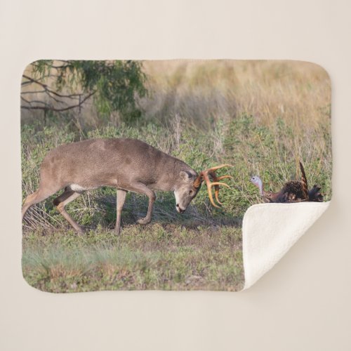 White_tailed Deer Fighting Wild Turkey Sherpa Blanket