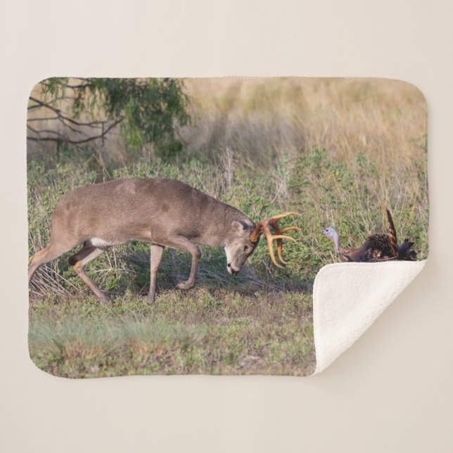 White-tailed Deer Fighting Wild Turkey Sherpa Blanket (Front (Horizontal))