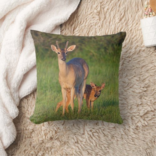 White_tailed Deer  Grassy Habitat Throw Pillow